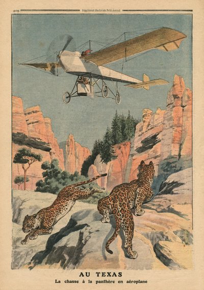 Hunting panthers from an airplane in Texas, illustration from 