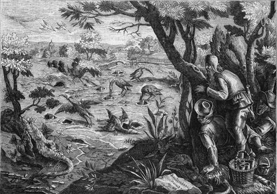 Hunting technique: the crane pipeline in Belgium, in the 16th century. Engraving by E Garnier after Jean Stradan in 