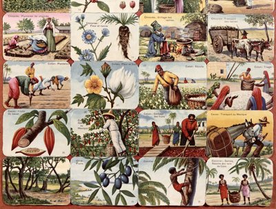 Illustration for a French school textbook of various products of the colonies by French School