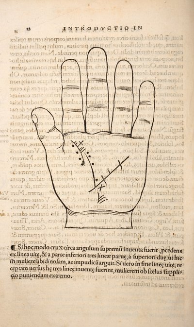 Illustration from Chiromantia by Joannes Indagioe, Strasbourg, 1531 by French School