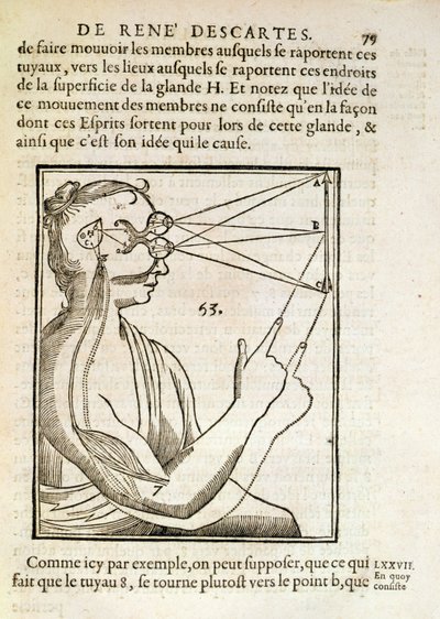 Illustration from De Homine Figuris by Rene Descartes, published in The Hague, 1662 by French School