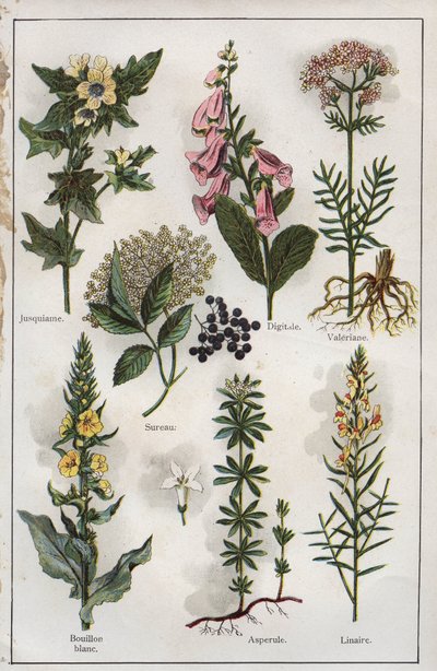 Illustration from 