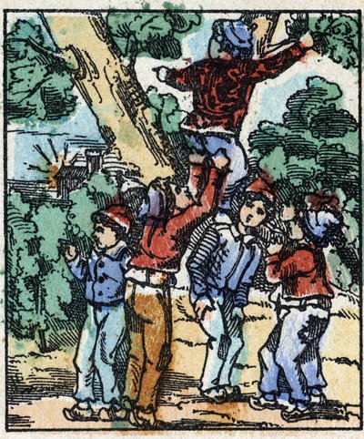 Illustration of the 
