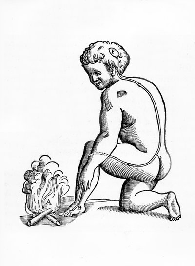 Illustration of the workings of the ducts from the pineal gland on the human nervous system in relation to a reaction to fire, from Tractatis de Homine, published in Amsterdam by Elsevier, 1677 by French School