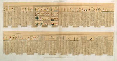 Illustrations of a Pampus manuscript with hieroglyphics, Hypogees, Thebes, plate 75 from Vol II of Descriptions of Egypt by French School
