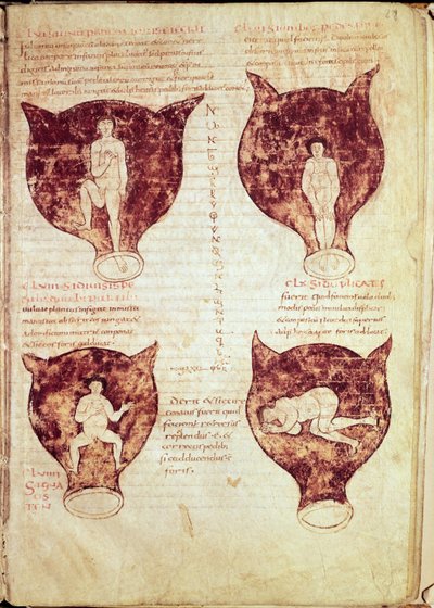Illustrations of the Foetus, from the So-Called Rhodion Manuscript by French School