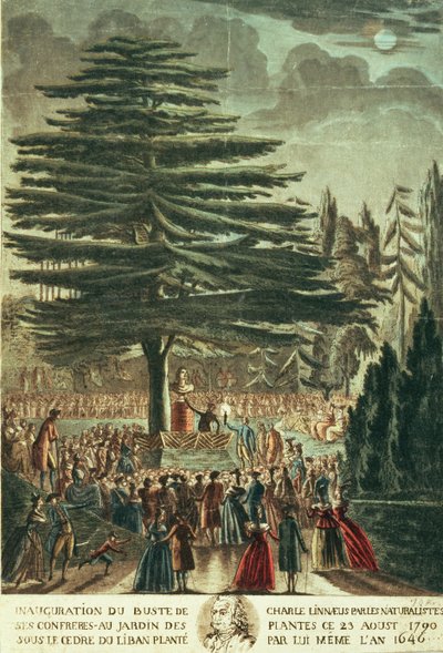 Inauguration of the Bust of Carl Linnaeus in the Jardin des Plantes, Underneath the Cedar of Lebanon Which He Planted in 1646, 23rd August 1790 by French School