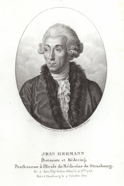 Jean Hermann by French School
