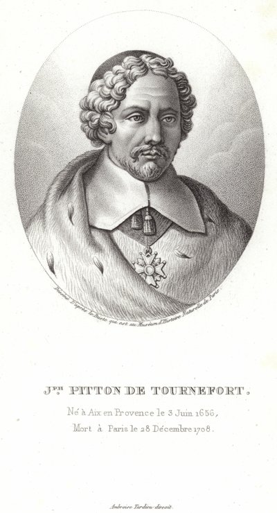 Joseph Pitton de Tournefort by French School
