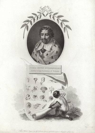 Joseph Pitton de Tournefort by French School