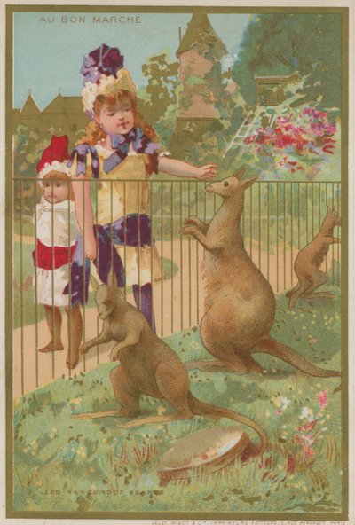 Kangaroos at a zoo by French School