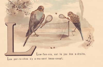 Lawn-Tennis, is the game of the clever; Parakeets have a lot of fun! by French School