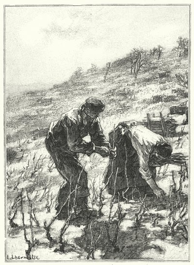 The Vine Pruning by French School