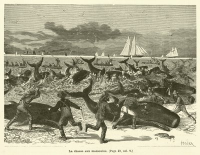 The Porpoise Hunt by French School