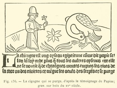 The Stork Purging Itself by French School