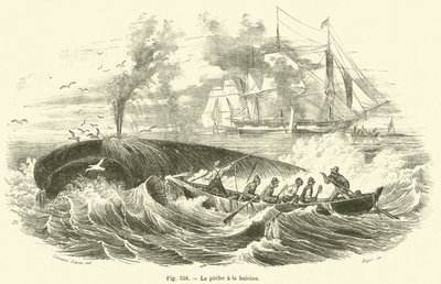 Whale Fishing by French School