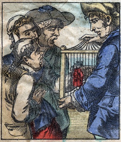 Lemuel Gulliver, in a cage is shown to the giants of Brobdingnag. Illustration for 