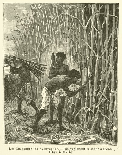 The Rubber Hunters (engraving) by French School