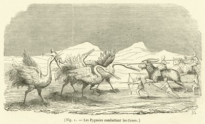 The Pygmies Fighting the Cranes by French School
