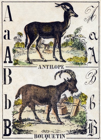 Letter A Antelope; B Ibex. Engraving in 
