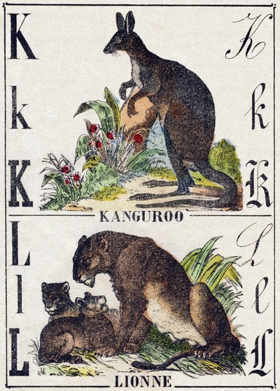 Letter K Kangaroo; L Lioness. Engraving in 