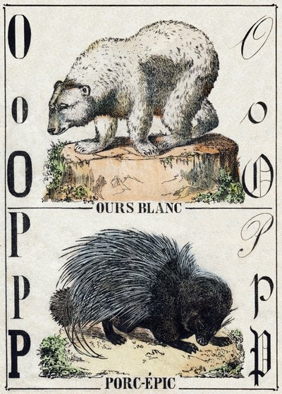 Letter O Bear; P Porc-Epic (Pig Epic) by French School