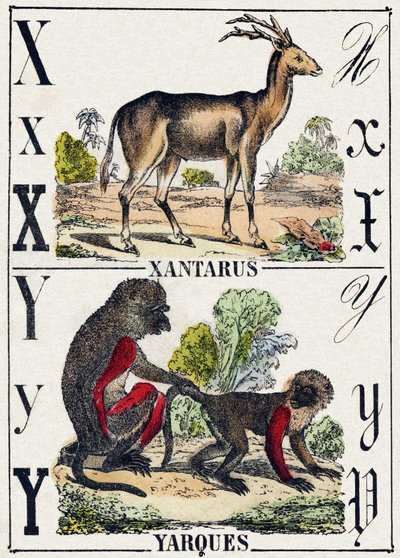 Letter X Xantarus; Y Yarques by French School