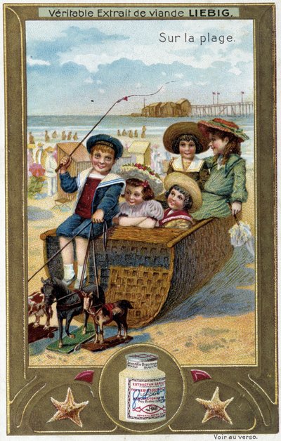 Liebig Chromolithography Series 