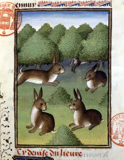 Hares - in Hunting Book of Gaston Phoebus, Count of Foix, Lord of Béarn by French School