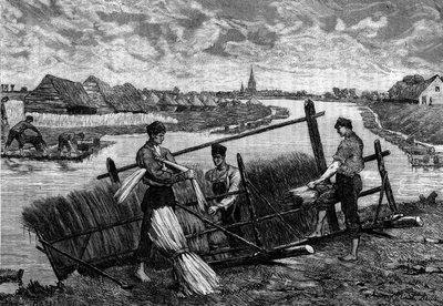 Linen Rushing in the Riviere Lys by French School