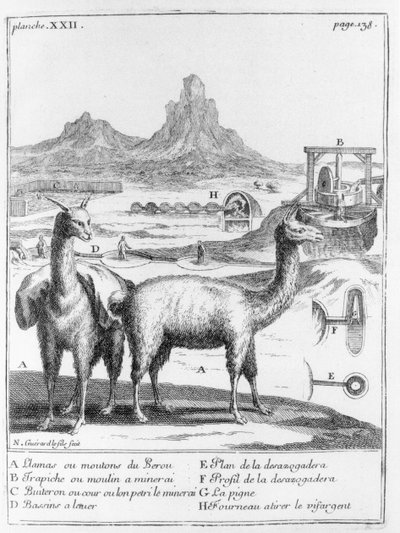 Llamas and diagrams concerning mineral extraction, from Relation du voyage de la mer du sud aux cotes du Chily et du Perou by A.F. Frezier, 1716 by French School