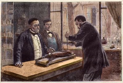 Louis Pasteur experimenting on a chloroformed rabbit during his search for a cure for rabies by French School