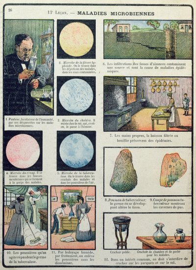 Louis Pasteur and Bacterial Diseases, from Les Sciences Physiques et Naturelles, Paris, 1908 by French School