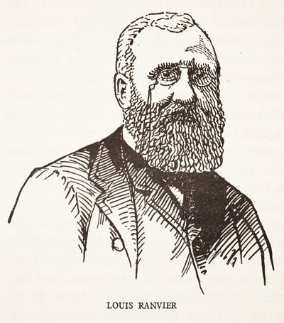 Louis Ranvier by French School