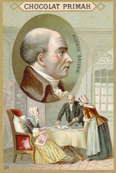 Luigi Galvani, Italian Doctor and Physicist by French School