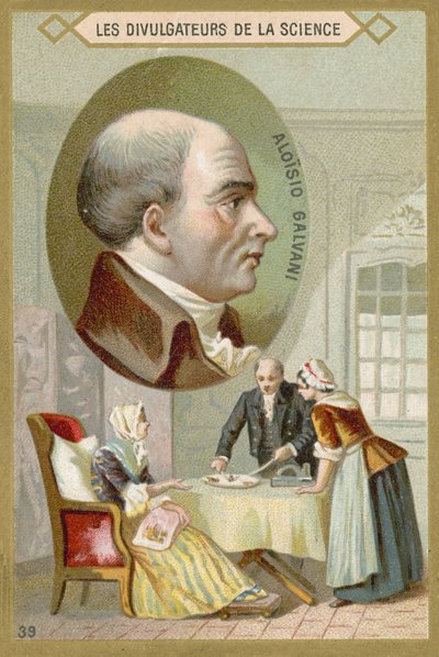 Luigi Galvani by French School