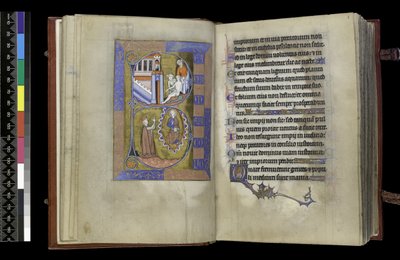 MS 300 f.XIII-1r, from the Psalter and Hours of Isabella of France, Paris, c.1265-70 by French School