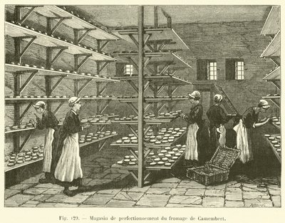 Camembert Cheese Improvement Shop by French School
