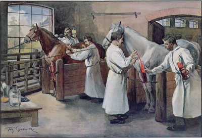 Making Diphtheria Serum from Horse Blood, from Les Animaux by French School