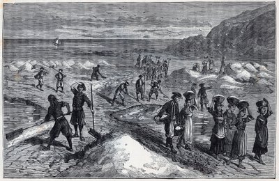 Marais salants de Bretagne in the 19th century - Engraving in 