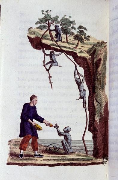 Monkeys harvesting tea in China by French School