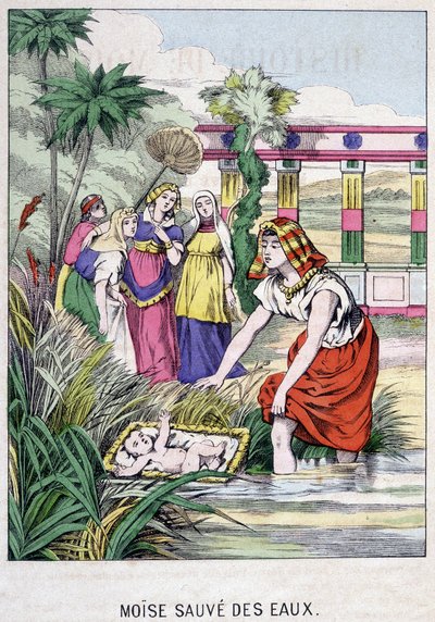 Moses Saved from the Waters - in 