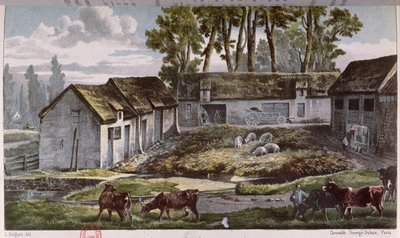 Mr Vandercolmes Farm at Armbouts-Cappel before the Improvement of the Manure Pit by French School
