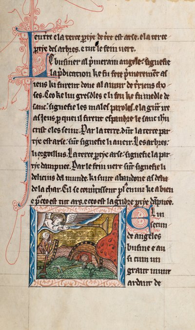 Commentary on the Apocalypse of St John, late 13th century (Ms65 f28r) by French School