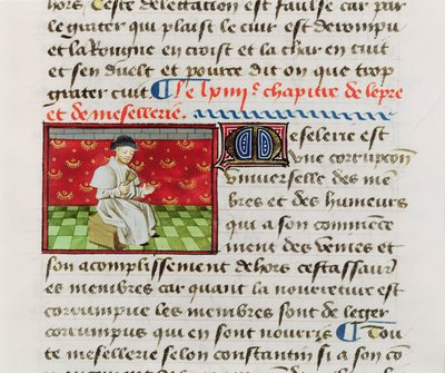 Leper, from Le Livre des Proprietez des Choses by Barthelemy l