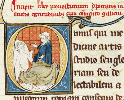 A Doctor Diagnosing a Patient, from Oeuvres de Galien by Claudius Galenus by French School
