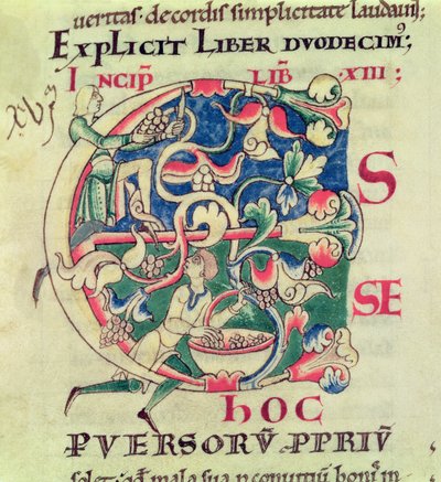 Historiated initial E depicting the grape harvest, from Moralia in Job by Pope Gregory the Great by French School