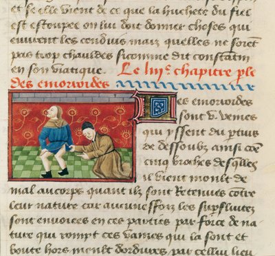 Examination of a patient with hemorrhoids, from Le Livre des Proprietes des choses by Barthelemy l