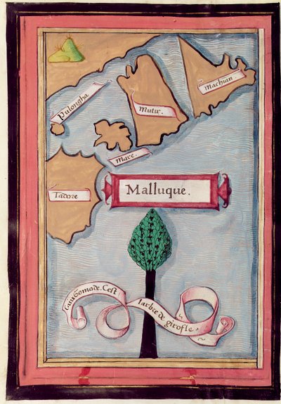 Map of the Spice Islands from an Account of the Voyage of Ferdinand Magellan by French School
