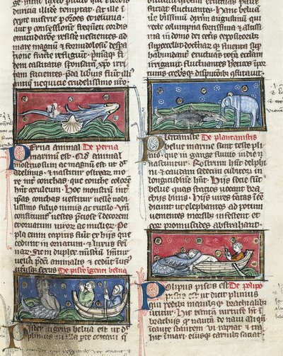 Sea Monsters, from 
